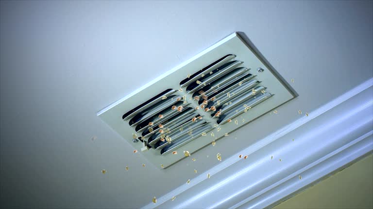 Best Air Vent Cleaning Services  in Sutter Creek, CA