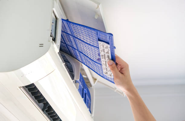 Best Air Duct Mold Removal  in Sutter Creek, CA