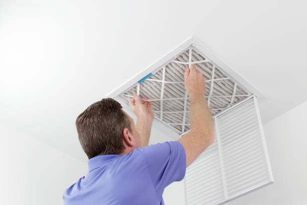 Best Air Duct Sanitizing Services  in Sutter Creek, CA